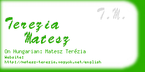 terezia matesz business card